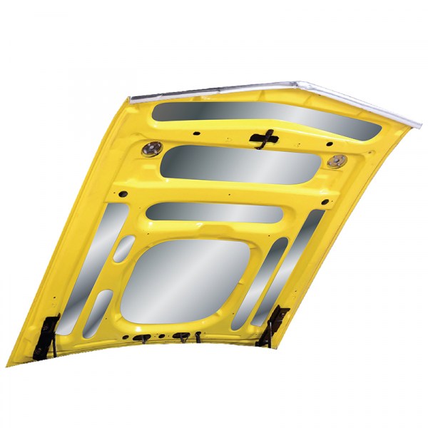 1969-70 Mustang Hood (2)